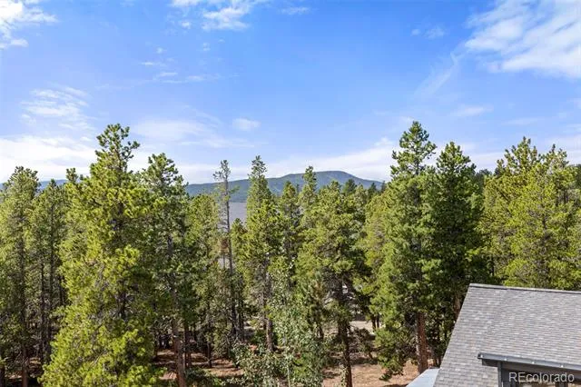 25 Shoshoni Way Nederland, CO 80466