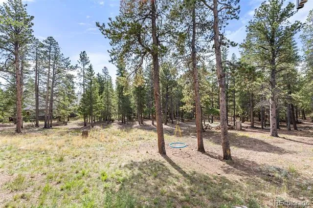 25 Shoshoni Way Nederland, CO 80466