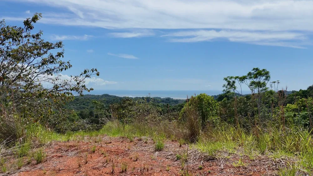Elevate Your Dreams – 3.70 Acres of Paradise Out of State, OS 60501