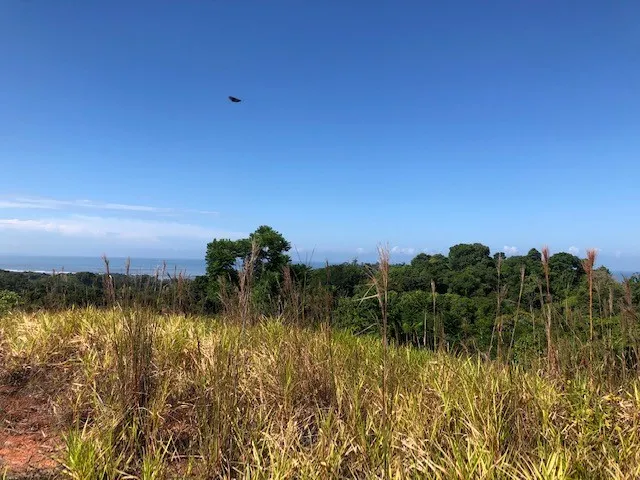 Elevate Your Dreams – 3.70 Acres of Paradise Out of State, OS 60501