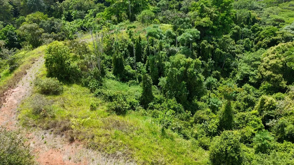 Elevate Your Dreams – 3.70 Acres of Paradise Out of State, OS 60501