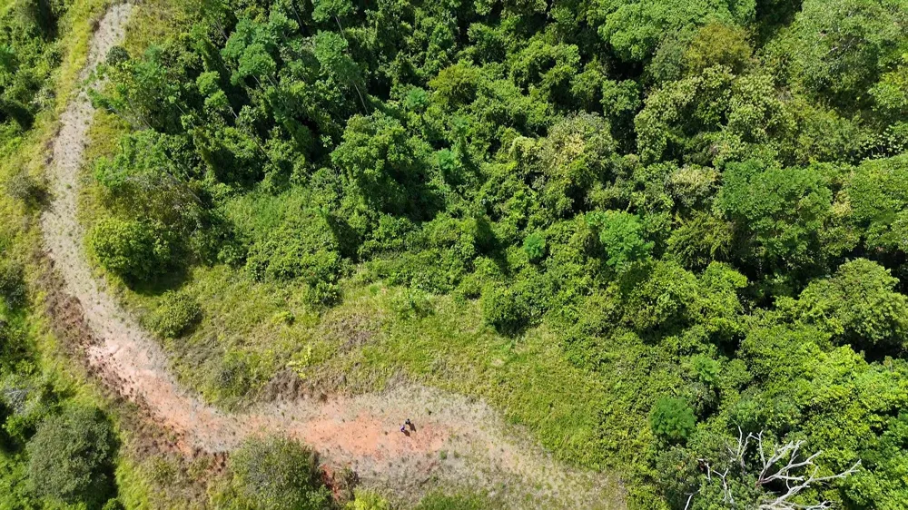 Elevate Your Dreams – 3.70 Acres of Paradise Out of State, OS 60501