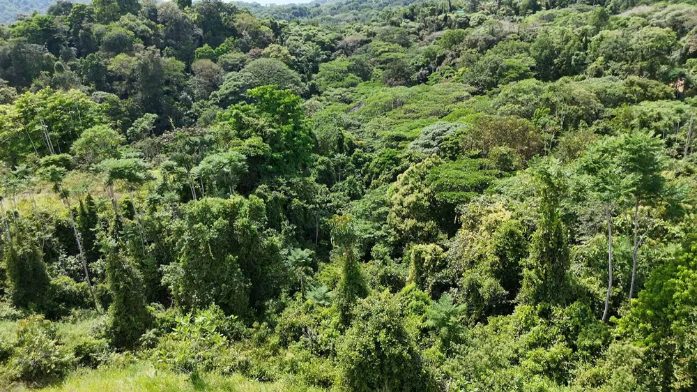 Elevate Your Dreams – 3.70 Acres of Paradise Out of State, OS 60501