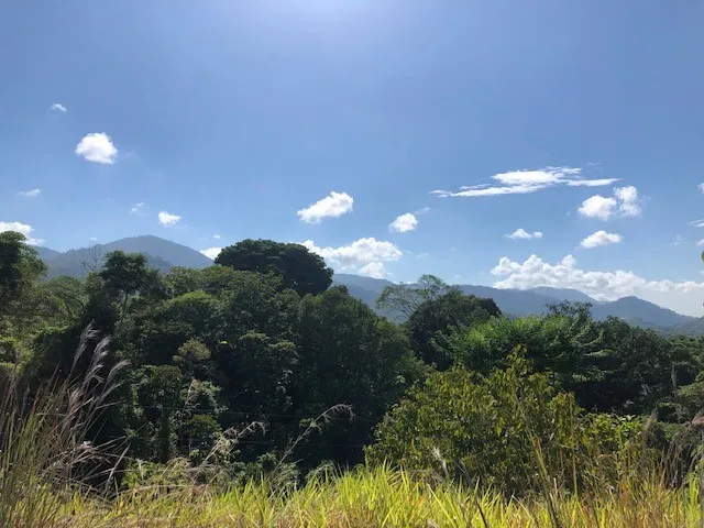 Elevate Your Dreams – 3.70 Acres of Paradise Out of State, OS 60501