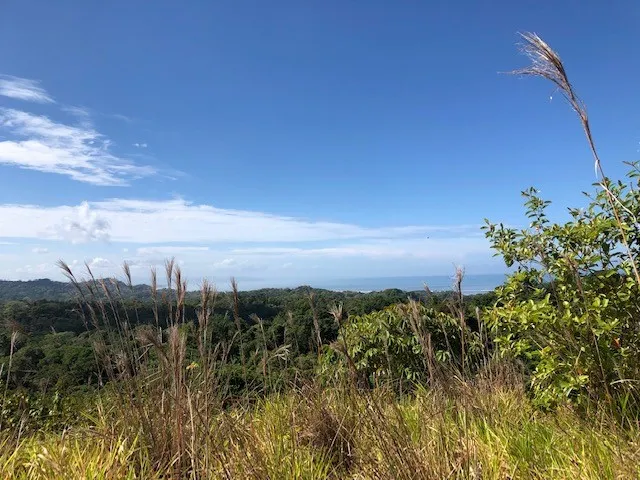 Elevate Your Dreams – 3.70 Acres of Paradise Out of State, OS 60501