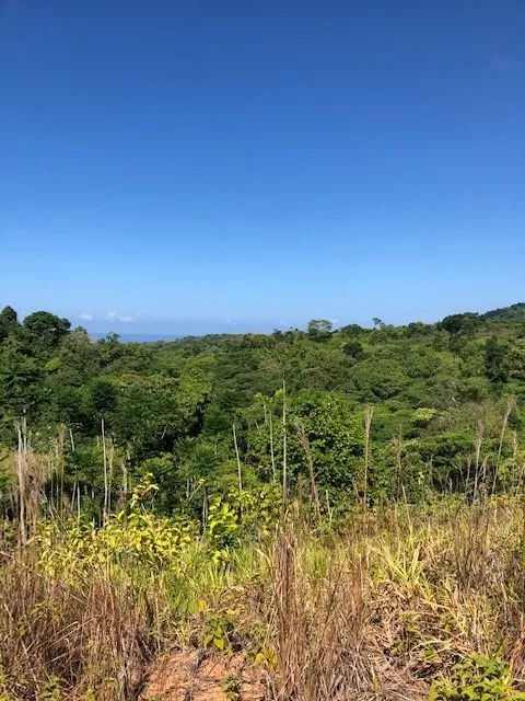 Elevate Your Dreams – 3.70 Acres of Paradise Out of State, OS 60501