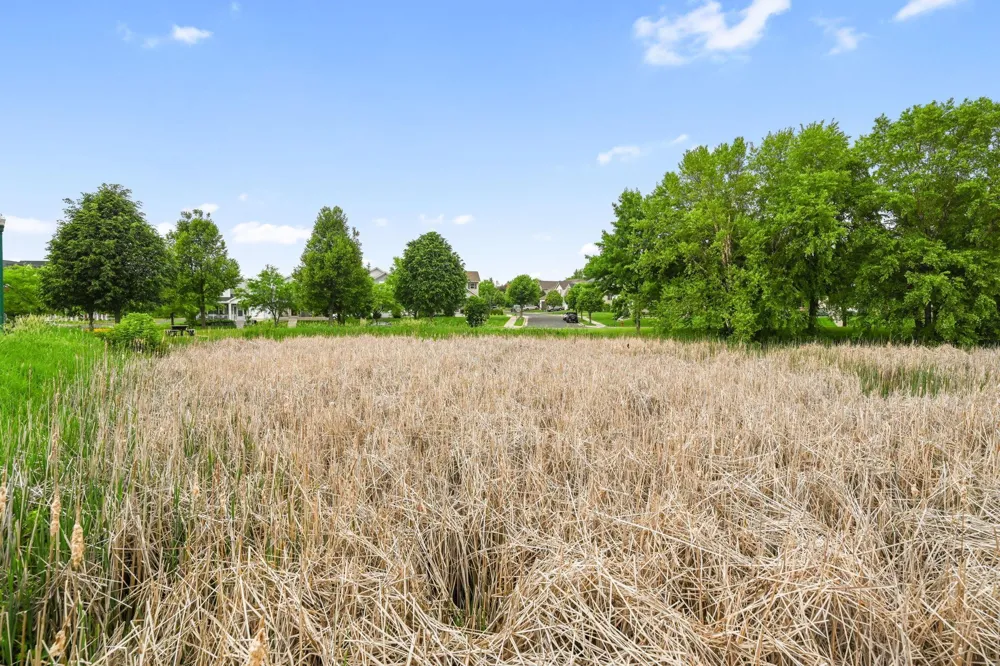 3062 Walden Drive Chaska, MN 55318