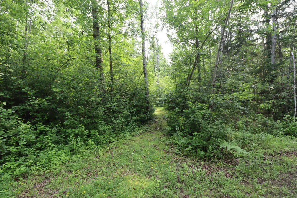 2821 Junction Road Ashland, WI 54806
