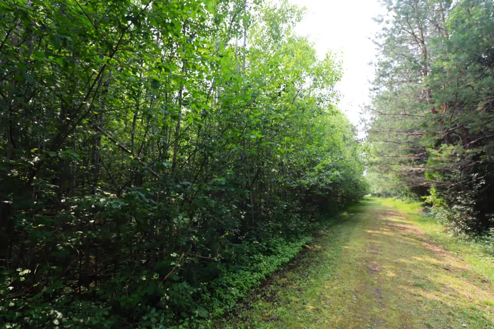 2821 Junction Road Ashland, WI 54806