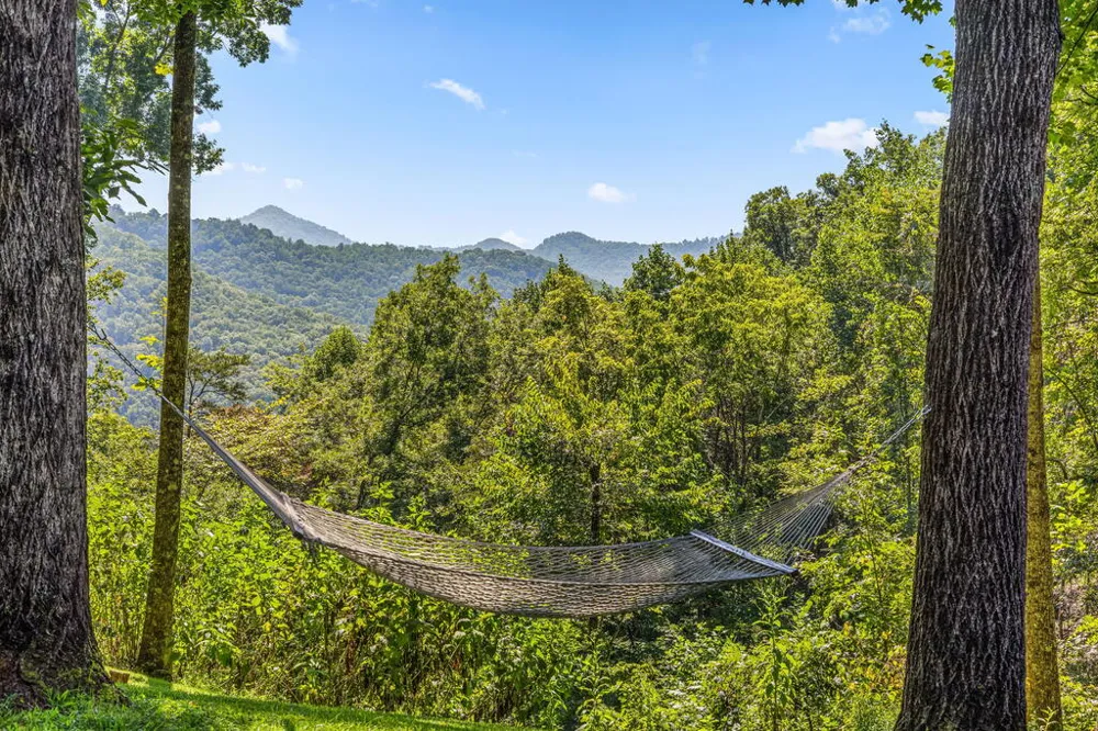 Catnip Road Cullowhee, NC 28723