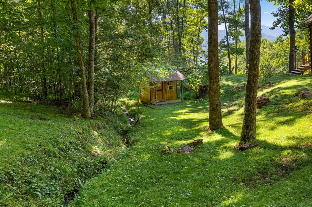Catnip Road Cullowhee, NC 28723