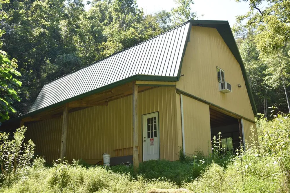 Catnip Road Cullowhee, NC 28723