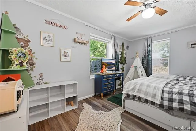 1017 Prairie Road Colorado Springs, CO 80909