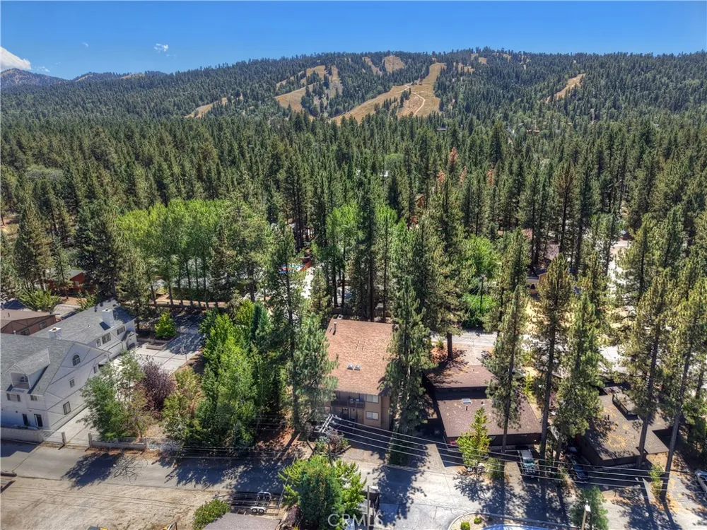 41730 Brownie Big Bear Lake, CA 92315
