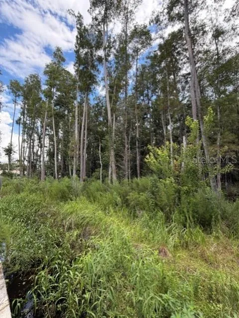 WESLEY CHAPEL BLVD