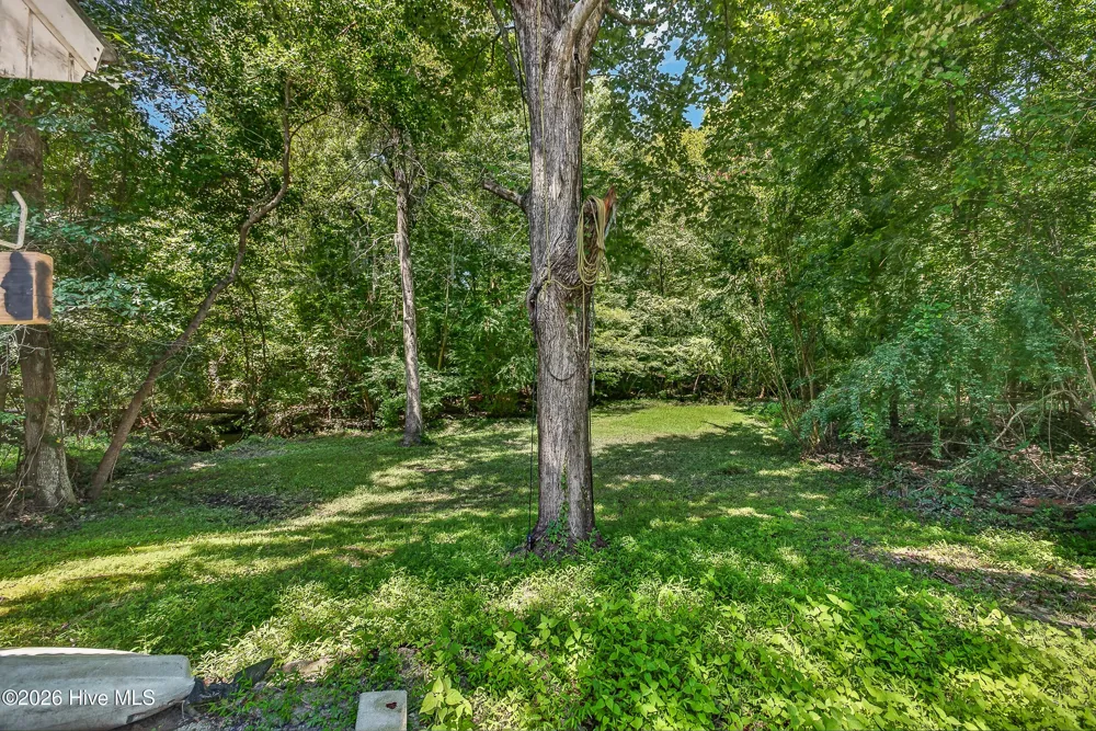 219 Audubon Drive Jacksonville, NC 28546