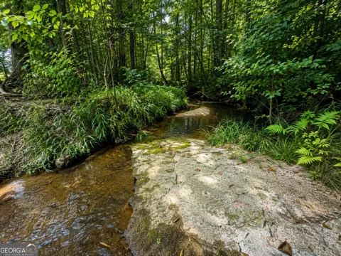 47 ACRES Cochran RD