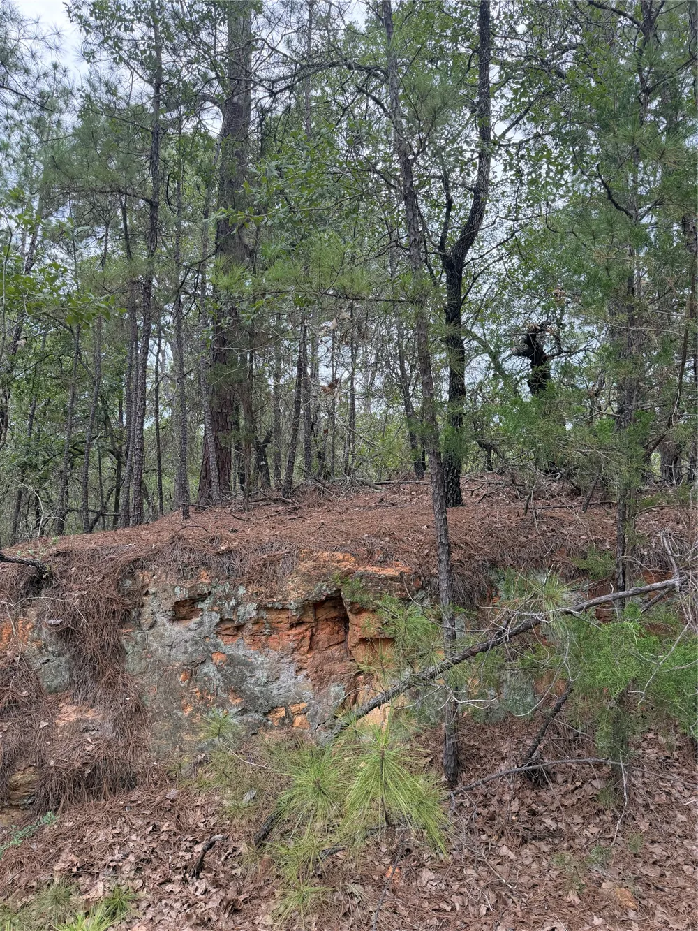 214 Hekili Drive Bastrop, TX 78602
