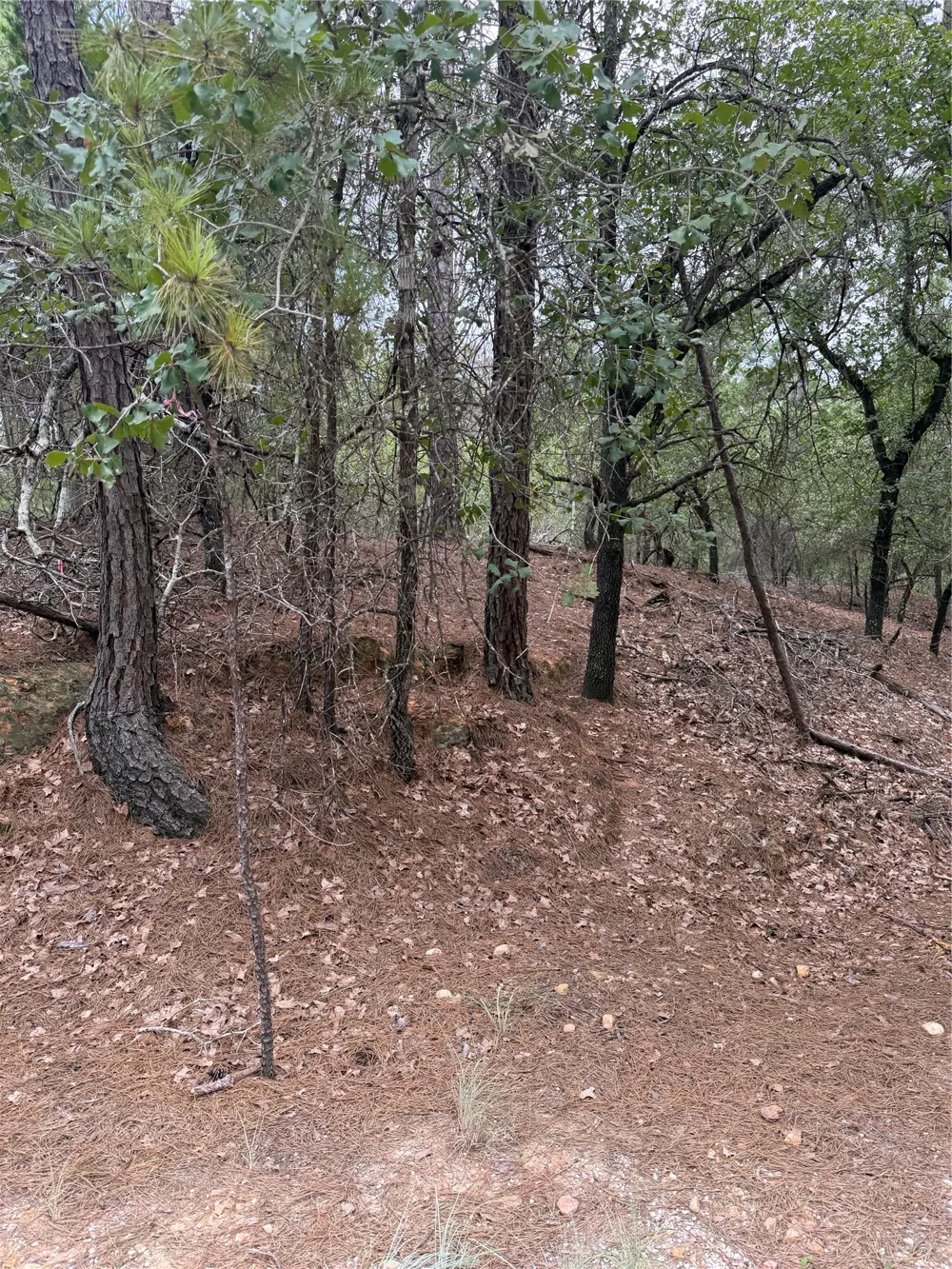 214 Hekili Drive Bastrop, TX 78602