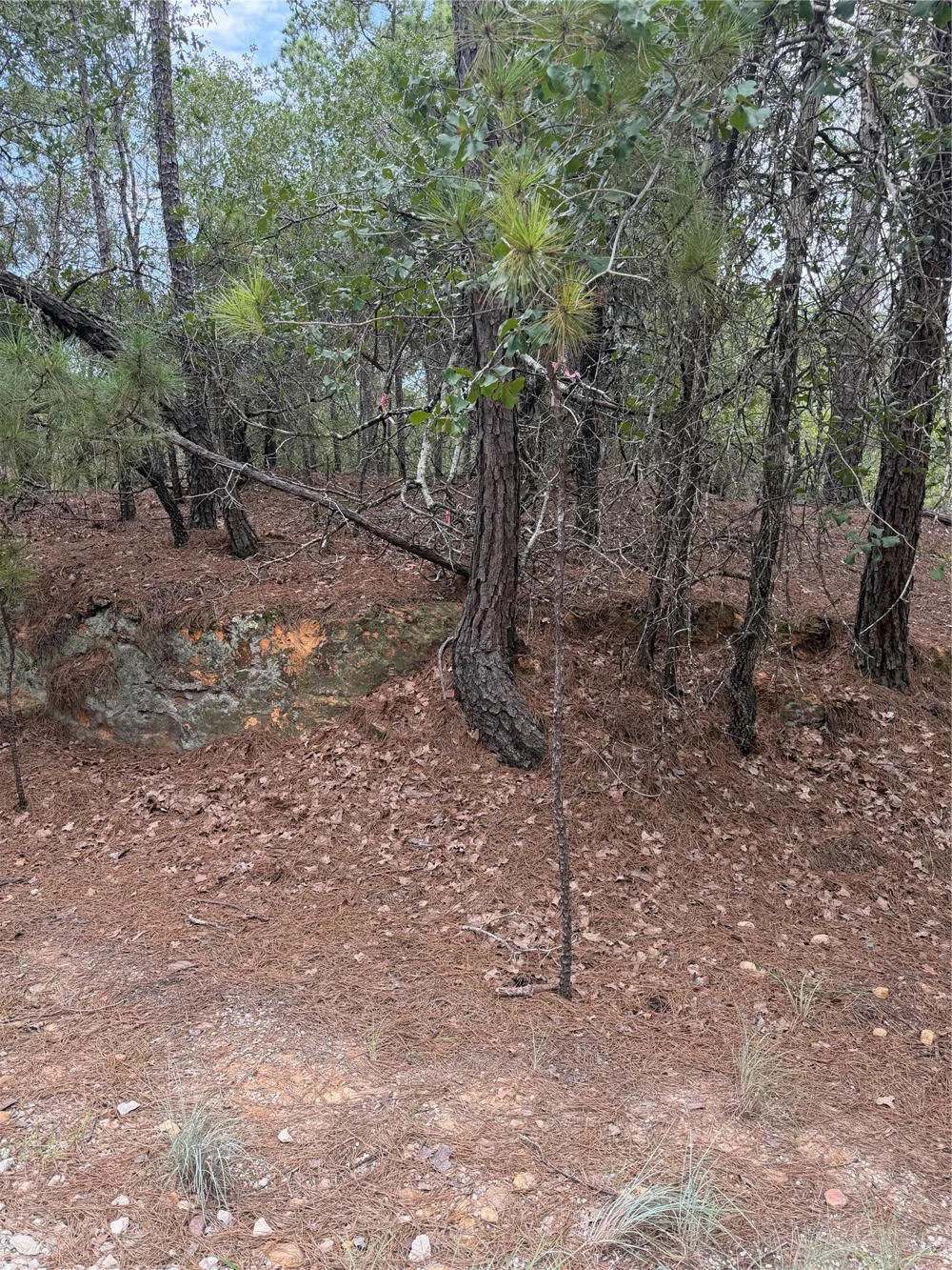 214 Hekili Drive Bastrop, TX 78602