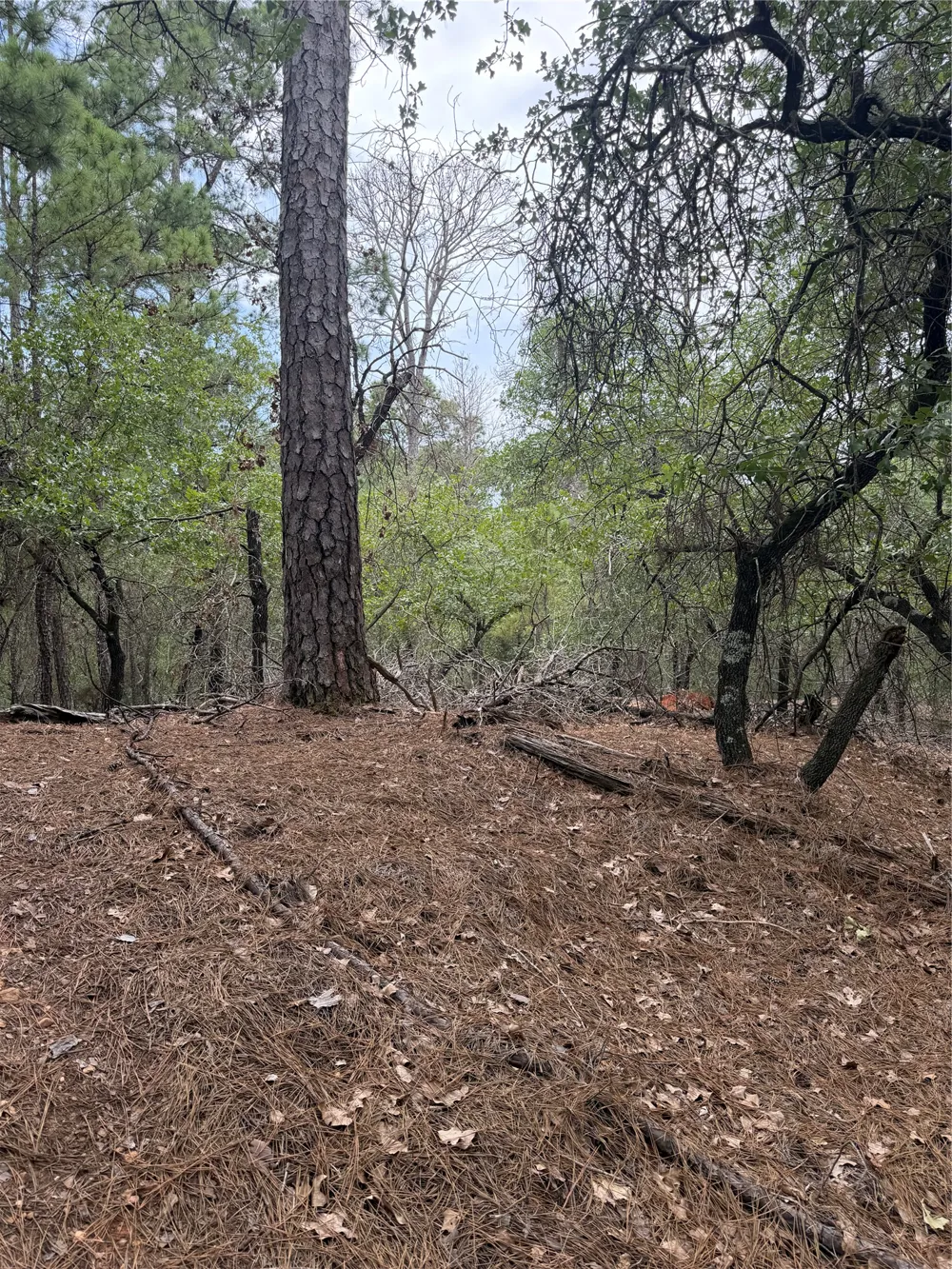 214 Hekili Drive Bastrop, TX 78602
