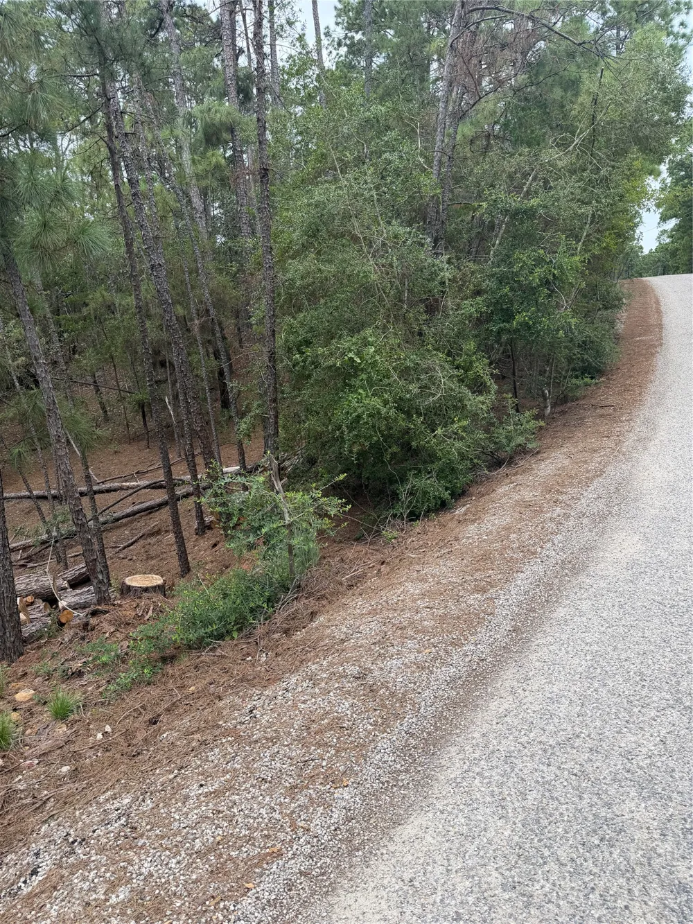 213 Hekili Drive Bastrop, TX 78602