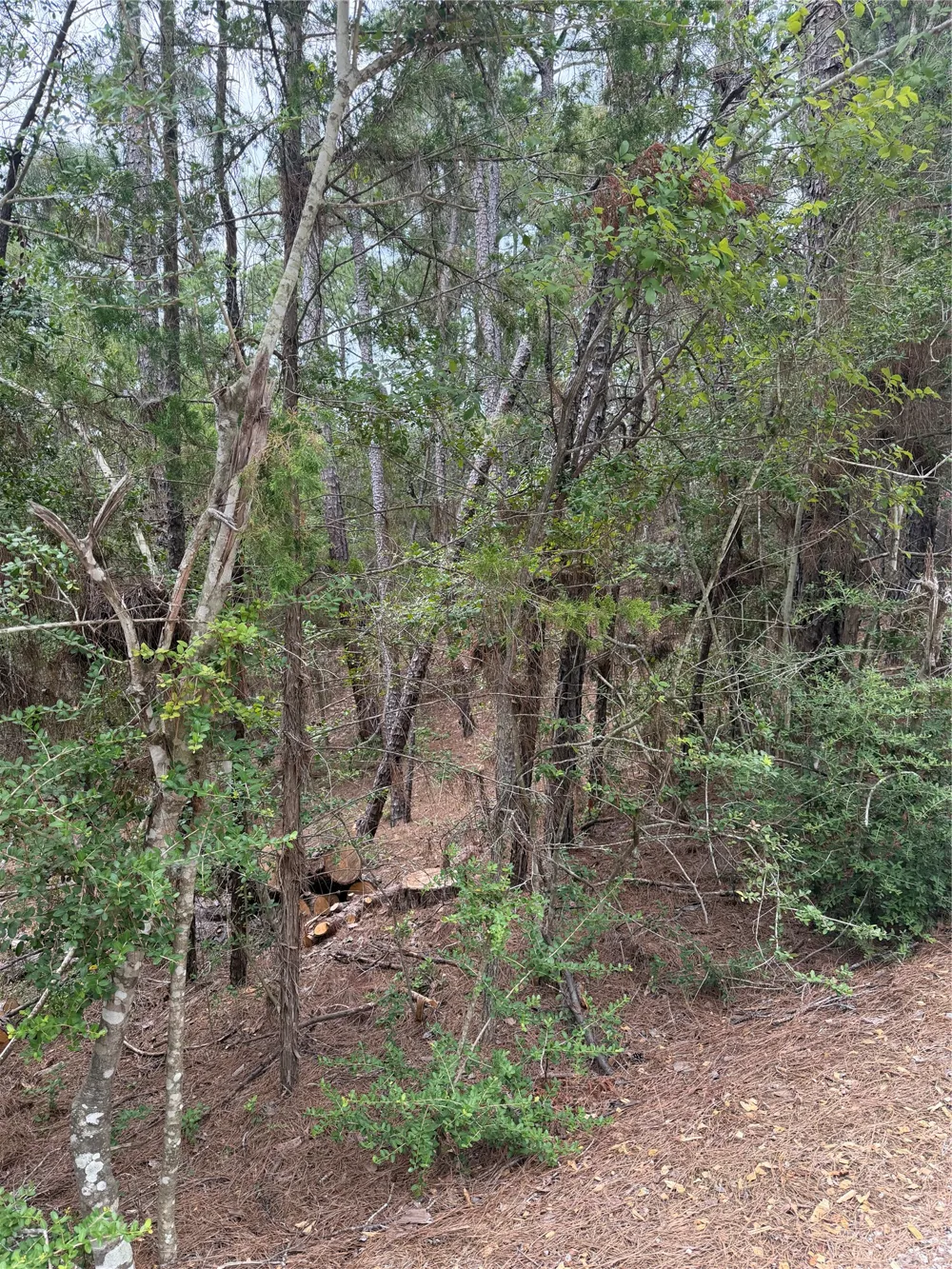 213 Hekili Drive Bastrop, TX 78602