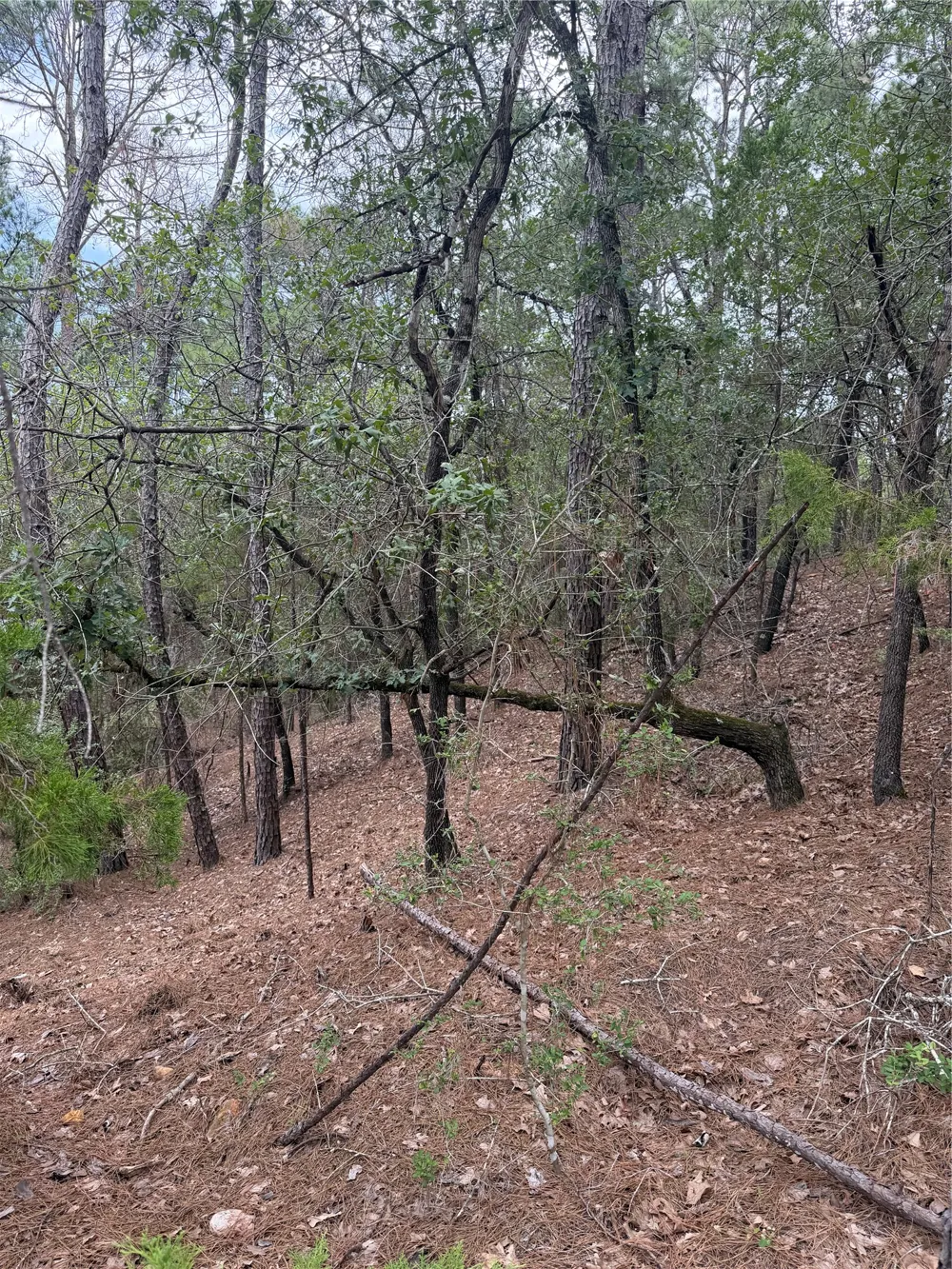 213 Hekili Drive Bastrop, TX 78602