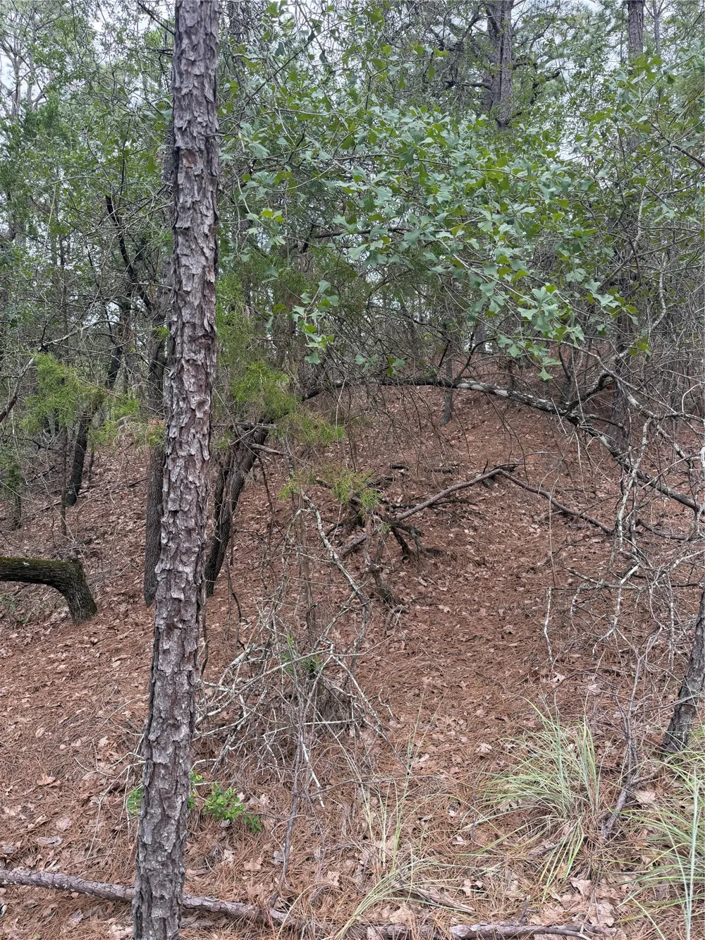 213 Hekili Drive Bastrop, TX 78602