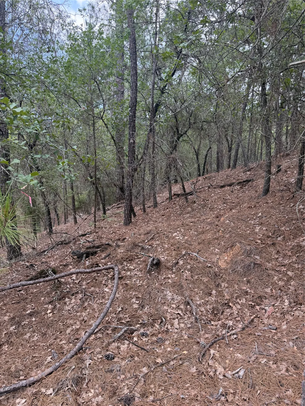 213 Hekili Drive Bastrop, TX 78602