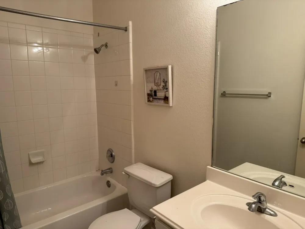 1516 Tonia Loop Round Rock, TX 78665
