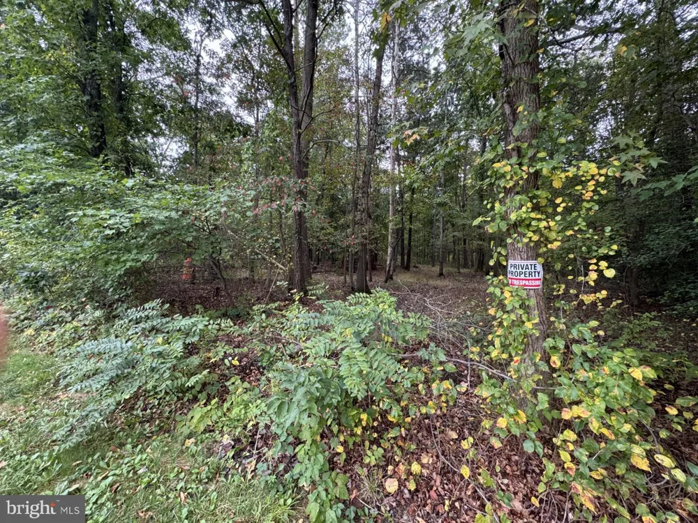 1635 WALL DRIVE Pasadena, MD 21122
