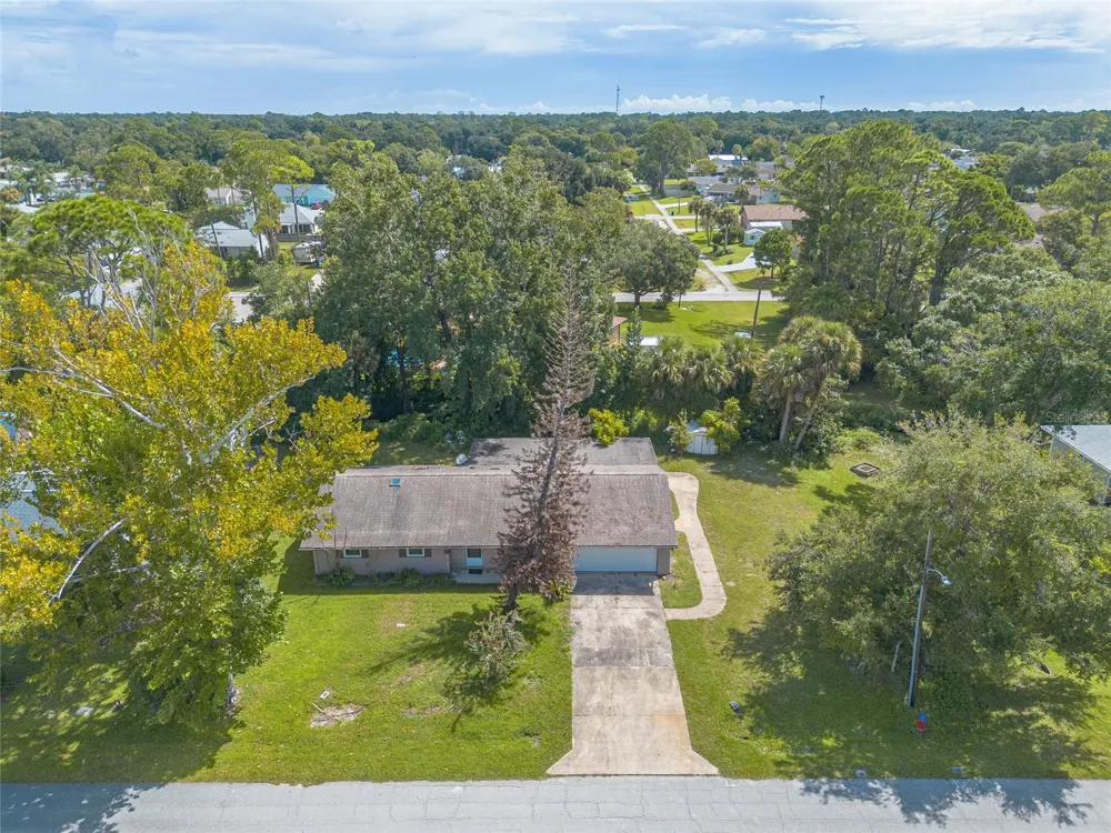 2629 UMBRELLA TREE DRIVE Edgewater, FL 32141