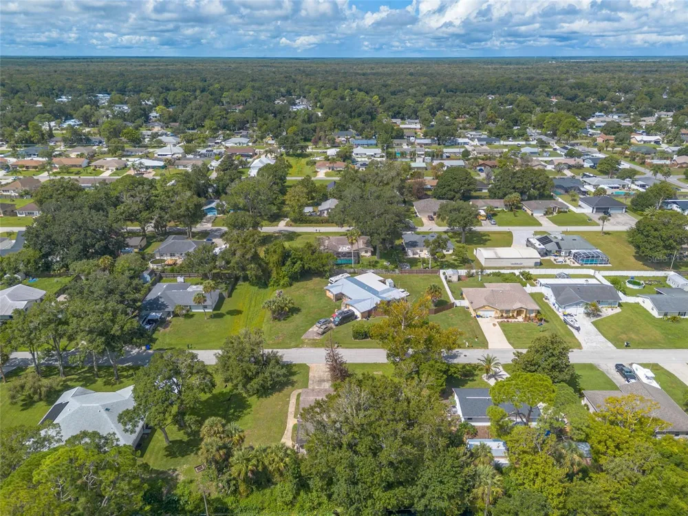 2629 UMBRELLA TREE DRIVE Edgewater, FL 32141