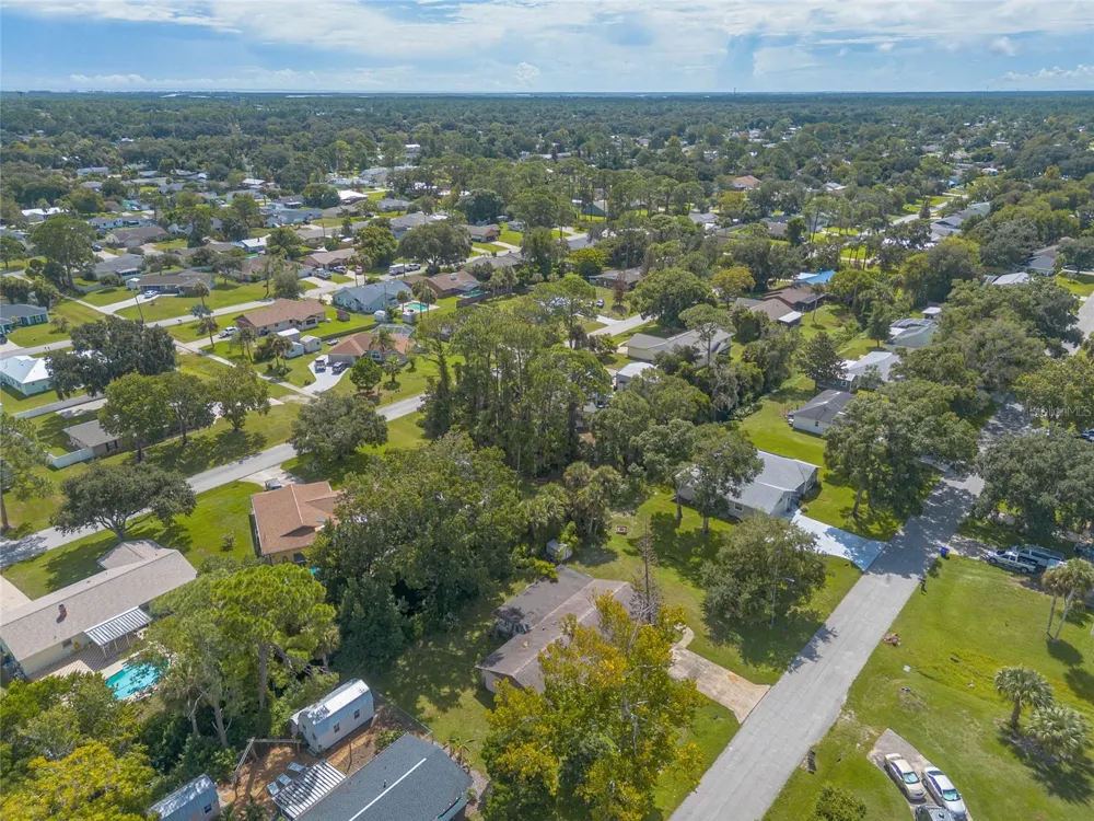 2629 UMBRELLA TREE DRIVE Edgewater, FL 32141