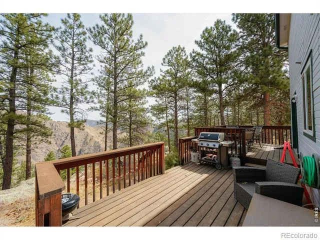 842 Unger Mountain Road Bellvue, CO 80512