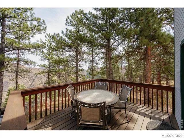 842 Unger Mountain Road Bellvue, CO 80512