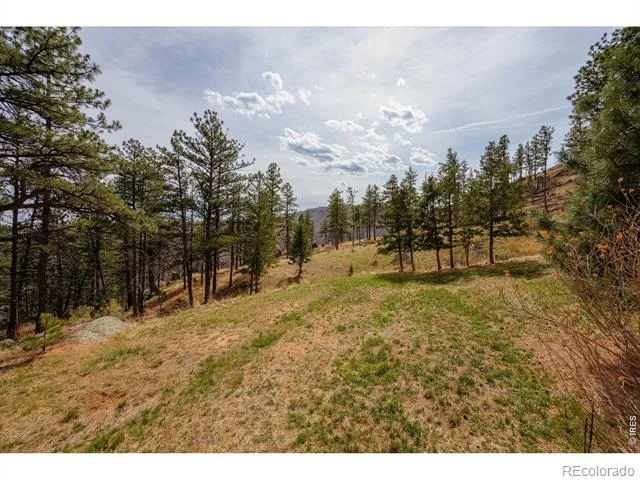 842 Unger Mountain Road Bellvue, CO 80512