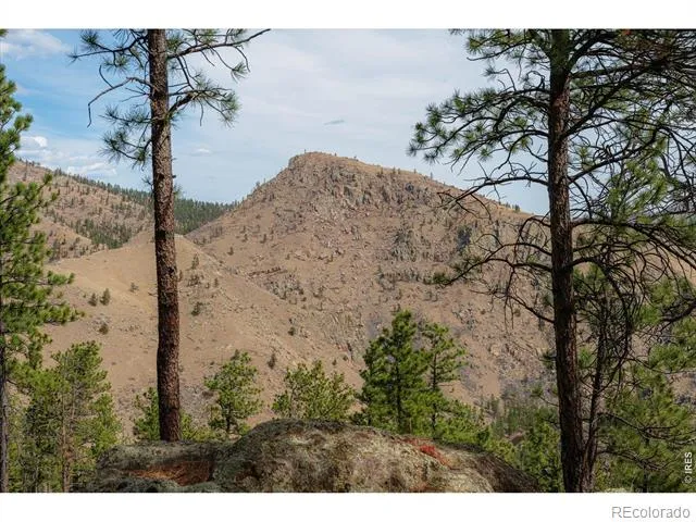 842 Unger Mountain Road Bellvue, CO 80512