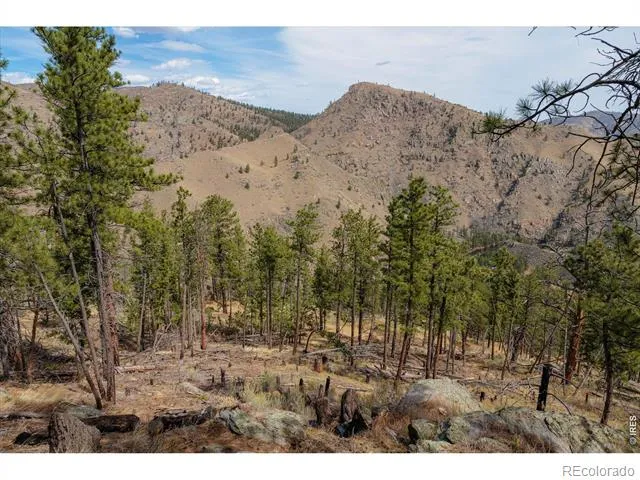 842 Unger Mountain Road Bellvue, CO 80512