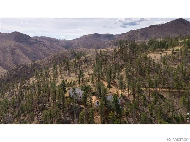 842 Unger Mountain Road Bellvue, CO 80512