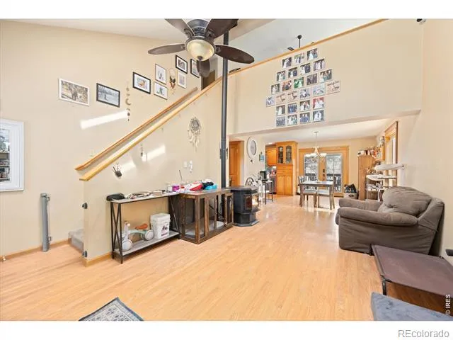 842 Unger Mountain Road Bellvue, CO 80512