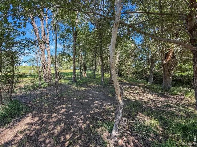 19535 County Road 34 Sterling, CO 80751