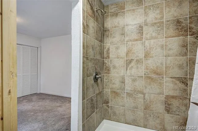 10689 Charles Lane Rye, CO 81069