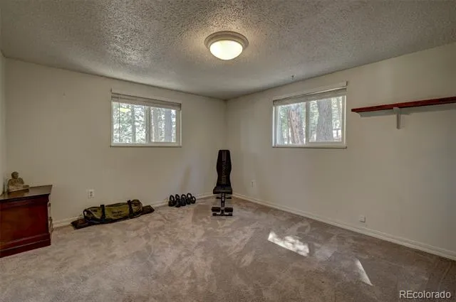 10689 Charles Lane Rye, CO 81069