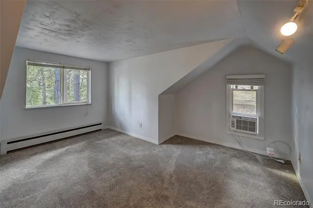 10689 Charles Lane Rye, CO 81069