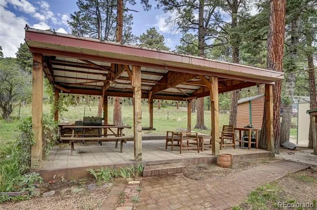 10689 Charles Lane Rye, CO 81069