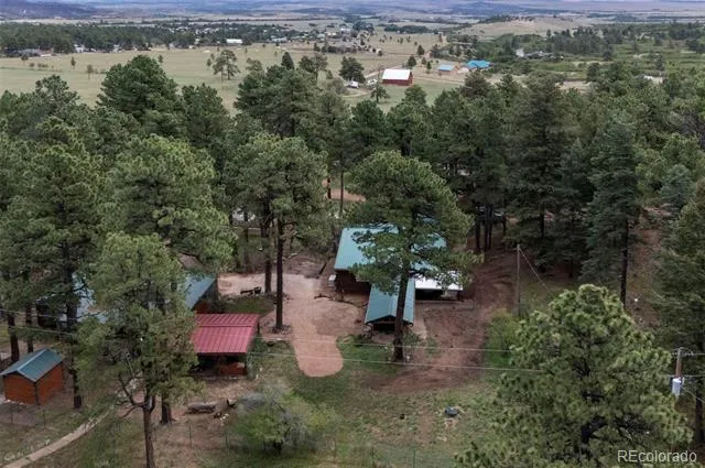 10689 Charles Lane Rye, CO 81069
