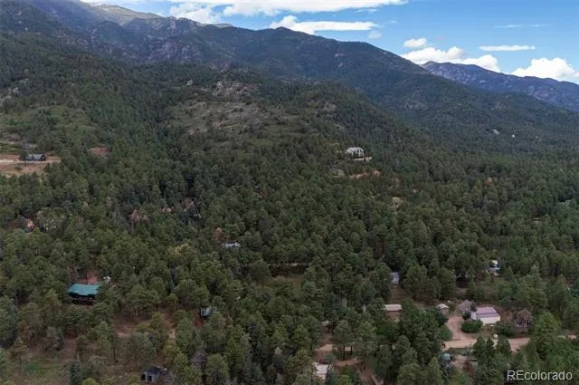 10689 Charles Lane Rye, CO 81069