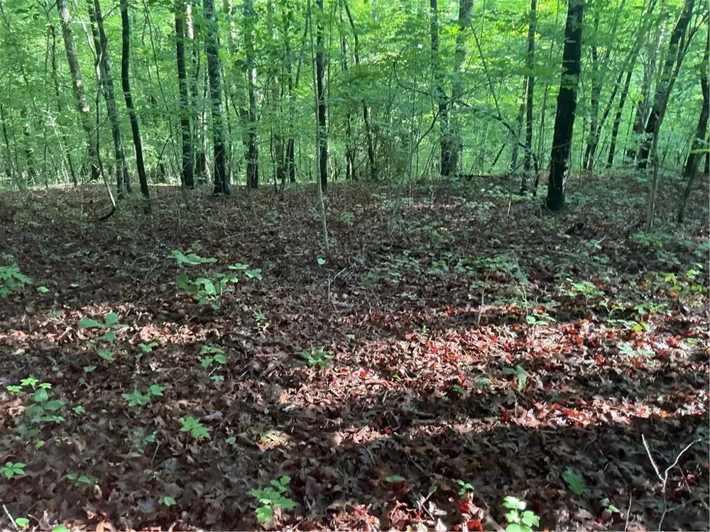 0 Mountain Brook Road Dawsonville, GA 30534